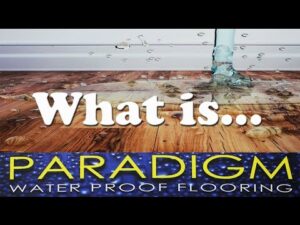 what is paradigm